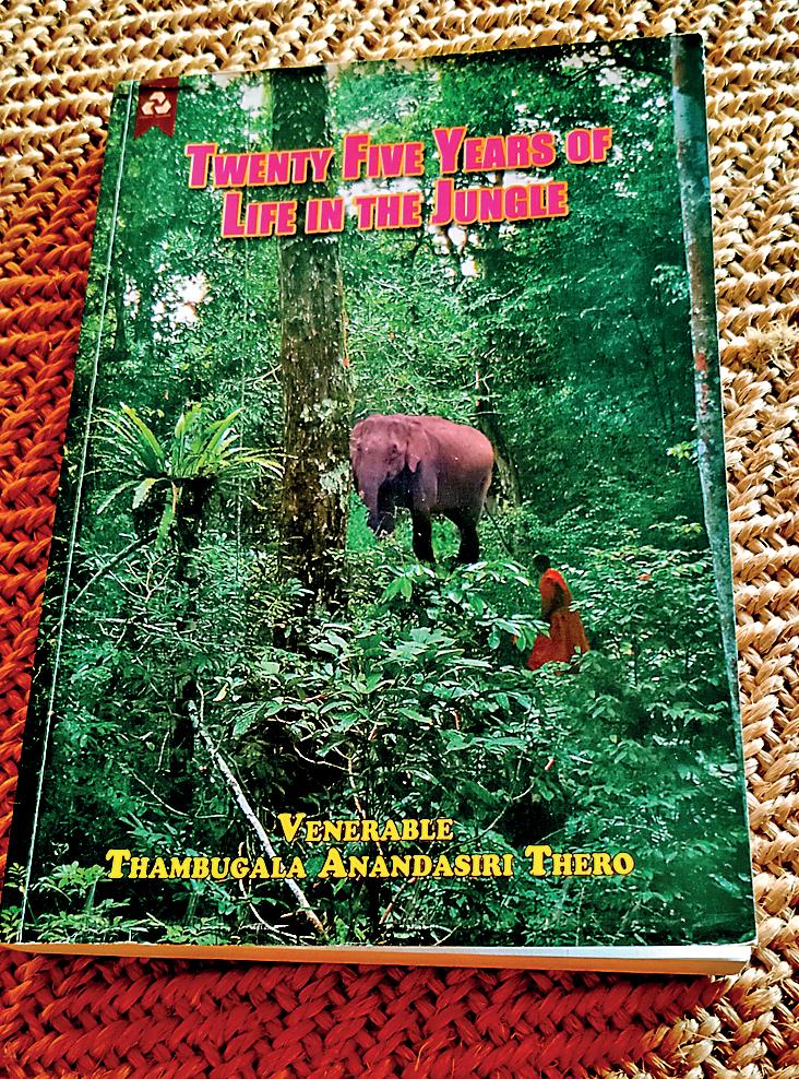 Twenty-five years of life in the jungle: Part 1