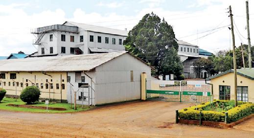 Browns Plantations accelerates orthodox tea production expansion in East Africa