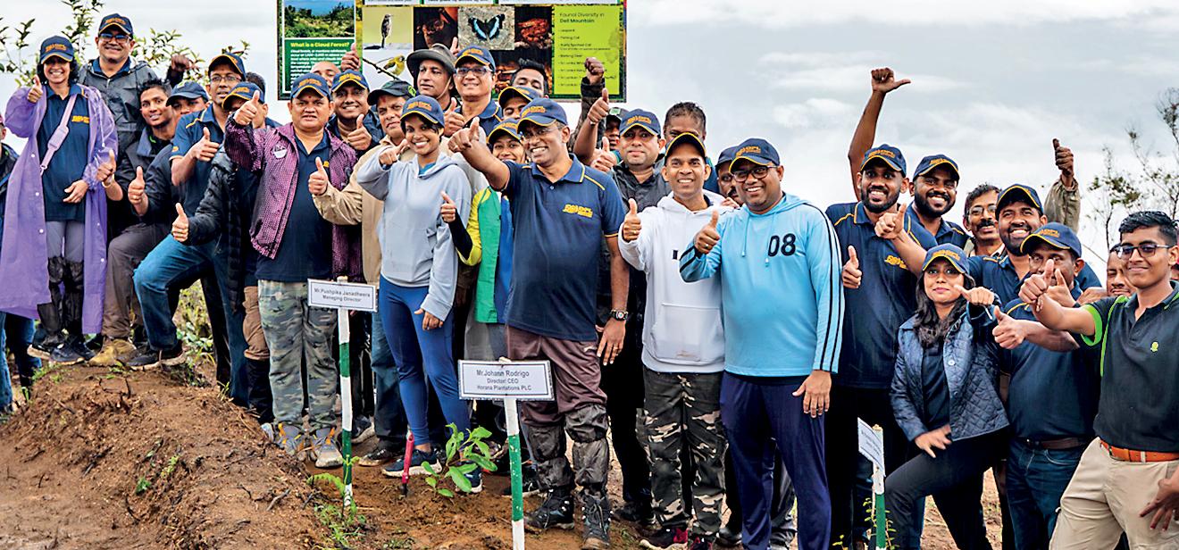 Dipped Products leads Dell Mountain project: “EcoPulse Cloud Forest Restoration”