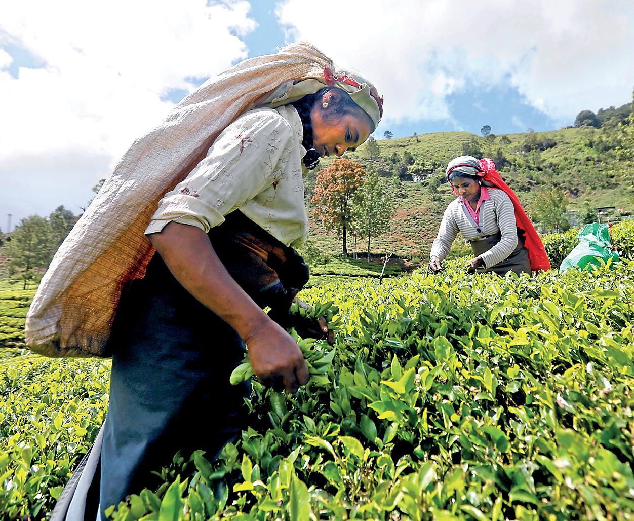 Govt: from an arrogant incompetence to a quite charming amateurishness?