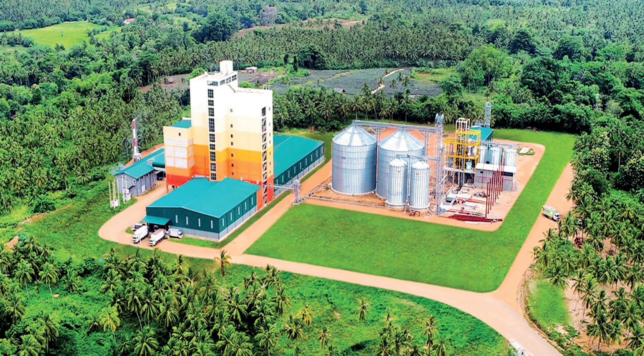 50 years of nourishing a nation: How Bairaha defined Sri Lanka's poultry industry
