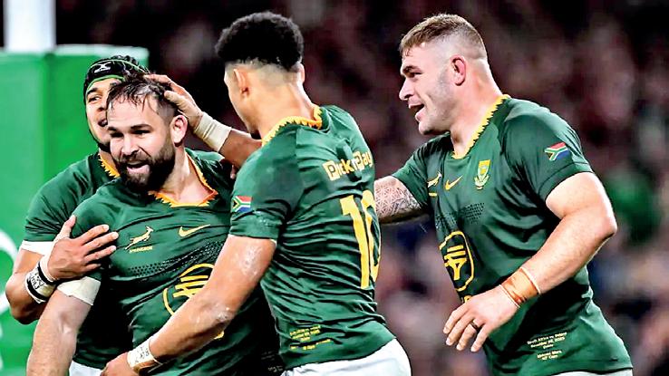 Ireland shown five cards as Boks win chaotic Test