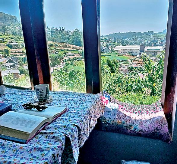 Sanctuary in Clouds: What residential library of healing in Nuwara Eliya meant to me