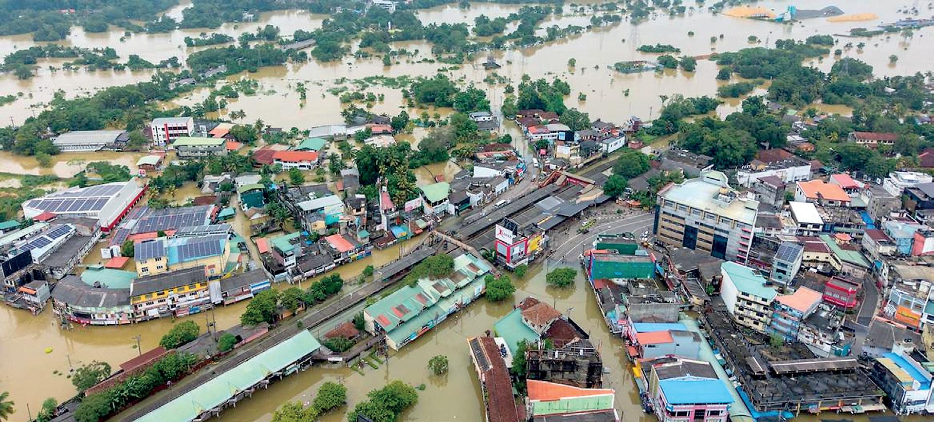 Deciphering the decision-making realities: Dedication amidst a disaster