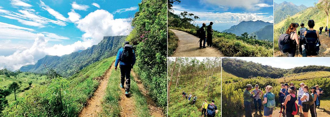 Miguel Cunat, creator of Lankan Pekoe Trail calls for saving Central Province tourism