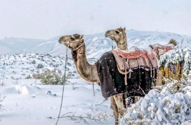 Saudi Arabia witnesses rare snowfall for first time in 30 years