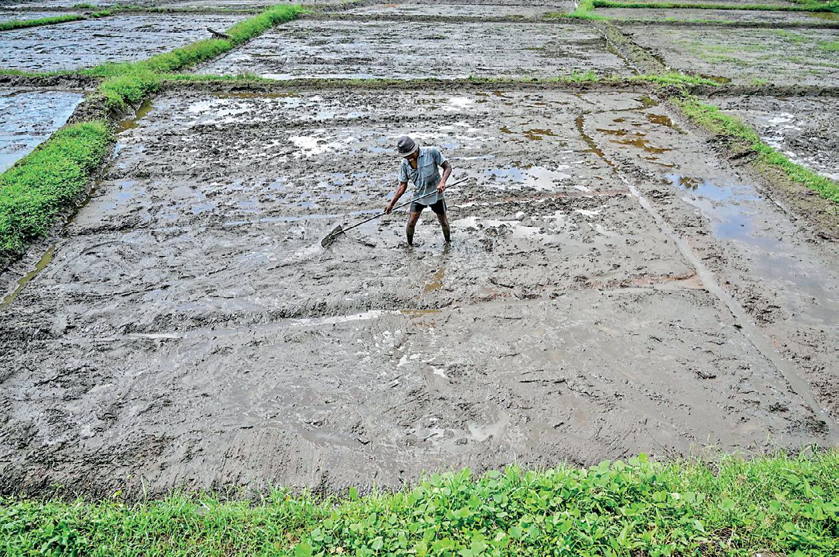 Sri Lanka’s collision with nature: Lessons from India to address agrarian question and employment