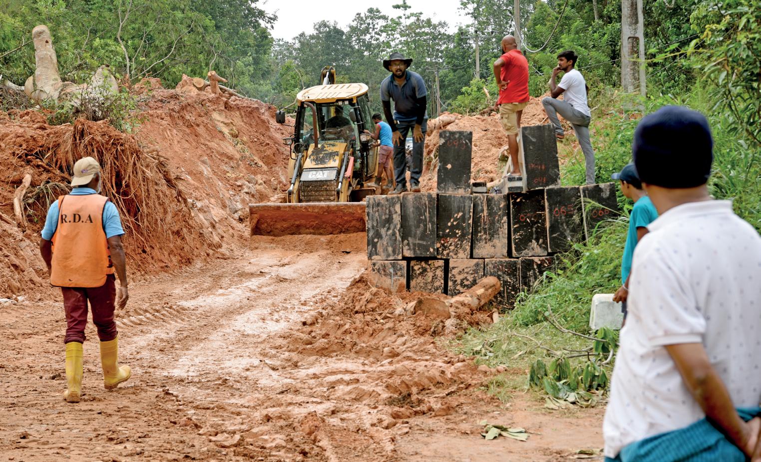 Rebuilding after disaster: Speed versus sustainability