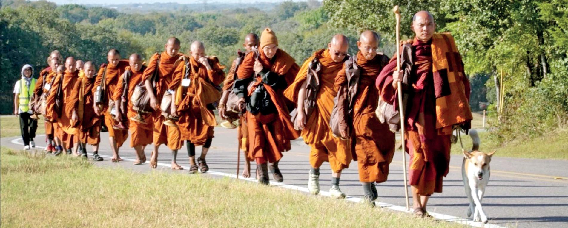 Walking for world peace with Metta, Muditha and Karuna