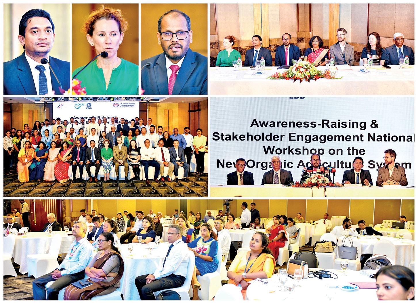 Sri Lanka moves to align organic standards with global requirements