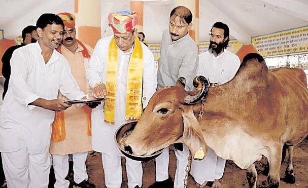 गाय का दूध, घी, दही, छाछ स्वास्थ्यवर्धक : कुमावत