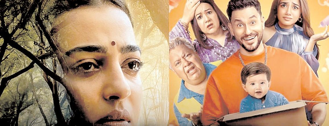 फिल्म 'धुरंधर' ने बॉक्स ऑफिस पर 252.70 करोड़ रुपये कमाए