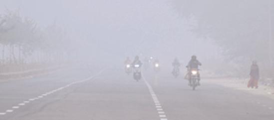 कोहरे की चादर में लिपटा राजस्थानः जयपुर में विजिबिलिटी 10 मीटर तक गिरी, कड़ाके की ठंड का अलर्ट