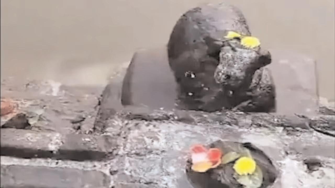 आंध्र प्रदेश में शिवलिंग क्षतिग्रस्त करने के आरोप में व्यक्ति गिरफ्तार