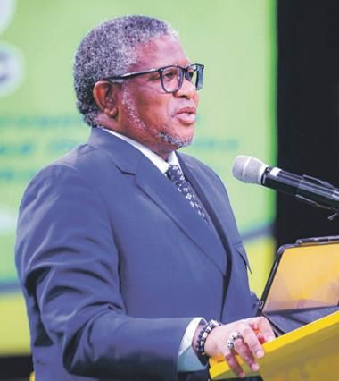 ANC confronts disputes over regional conferences