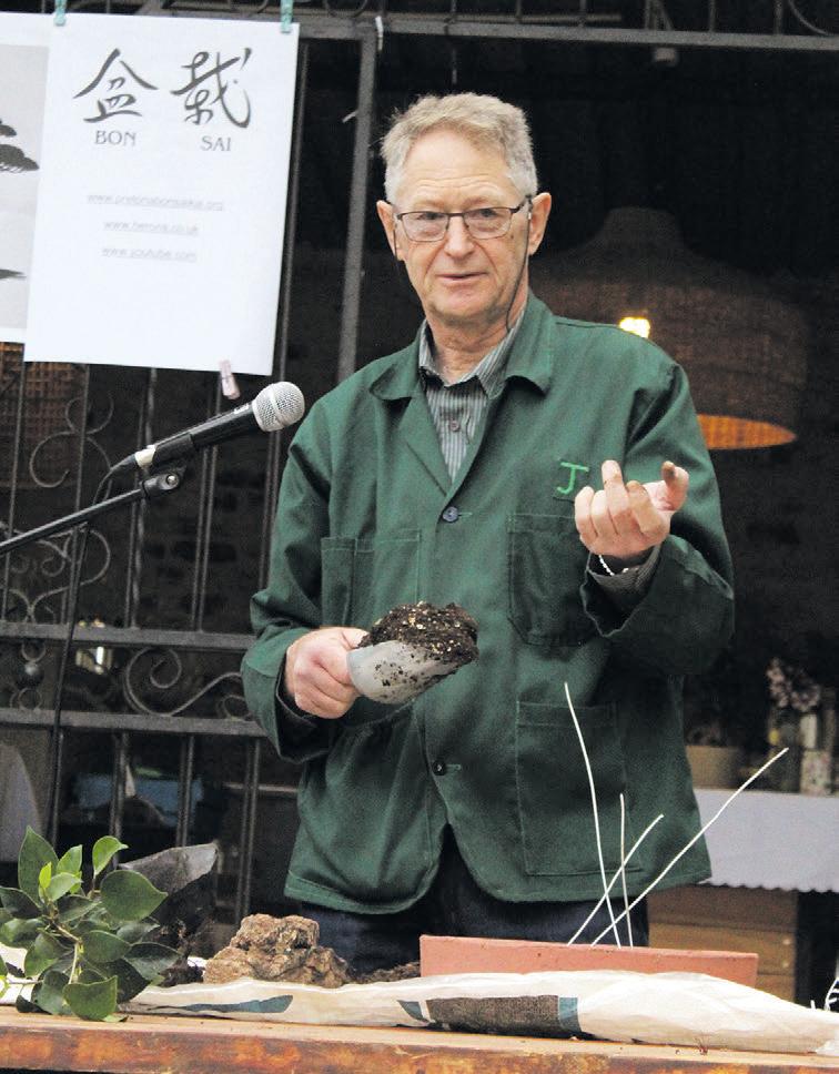 Kuns, geduld in Jan en Ursula se bonsai-bome