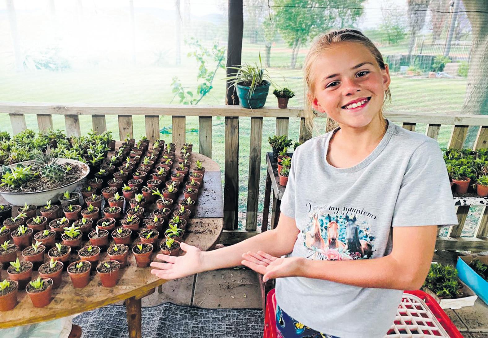 Groen vingers, perde Miané se groot liefde