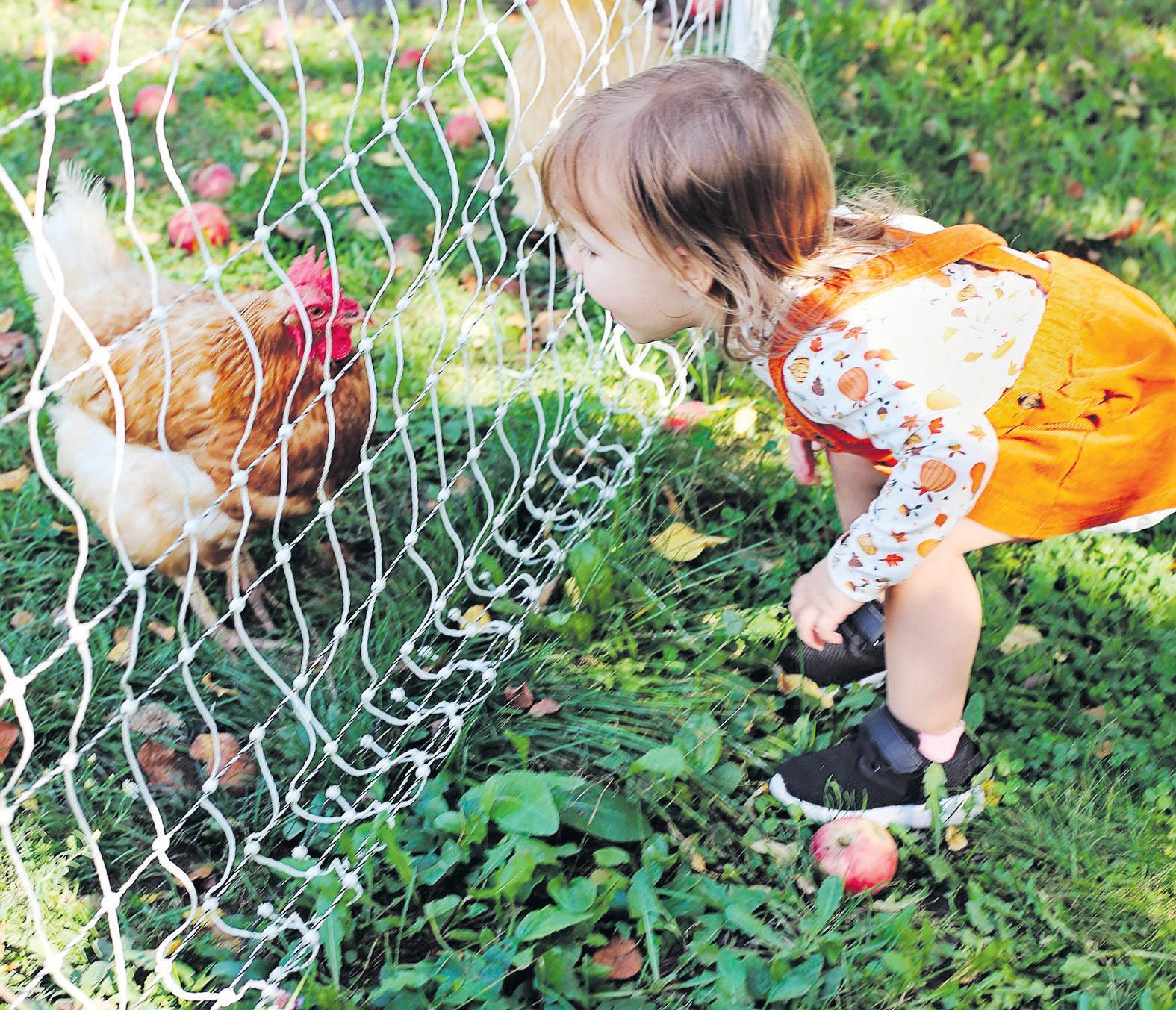 AgriHX Expo kicks off on March 19