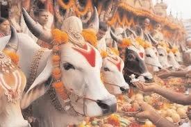 गोपाष्टमी का उद्देश्य गौ प्रेम, गौ संरक्षण और गौ संवर्द्धन