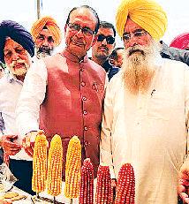 कहा, सब्सिडी उन्हें ही मिलनी चाहिए जो असल में उसके हकदार हैं छोटी जोत वाले किसानों के लिए किफायती कृषि यंत्र बनाना जरूरीः शिवराज सिंह
