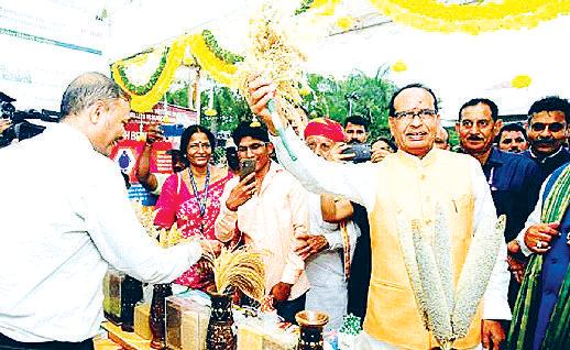 तेलंगाना में पाम ऑयल की खेती बढ़ाने पर अनुसंधान करें वैज्ञानिकः शिवराज