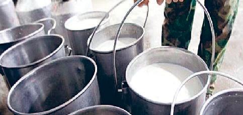 दुग्ध नेटवर्क से जुड़ेंगे प्रदेश के 50 प्रतिशत ग्राम : मुख्यमंत्री
