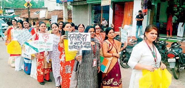 पॉलीथीन मुक्त करने 90 साल की वृद्धा ने फल खरीद रही महिला को दिया बैंग