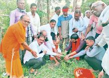 मधुबनधाम परिसर पर महुआ के पौधे लगाए