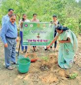 यशवंतराव मेघावाले कालेज में लगाए पौधे
