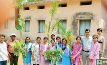 चटौद स्कूल में विश्व पर्यावरण दिवस पर हुआ पौधारोपण