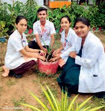 नर्सिंग विद्यार्थियों ने पौधे लगाकर पर्यावरण संरक्षण का दिया संदेश