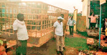 निगम टीम ने तीन दिन में 28 आवारा मवेशी पकड़े