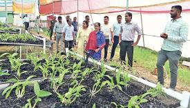 हवा में कोयले पर ऑर्किड की खेती कर रहा कुहकुहा का किसान, सालाना आय 50 लाख