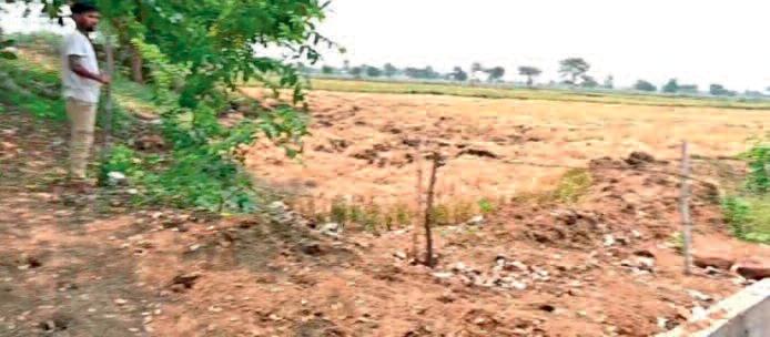 उद्यमियों को मिलेगी फूड पार्क में व्यवसाय करने के लिए जगह