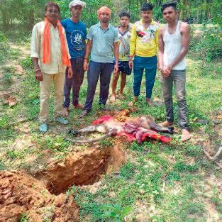 वाहन की ठोकर से मृत वानर का अंतिम संस्कार किया गया