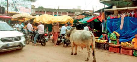 सब्जी बाजारों में अव्यवस्था से नाराजगी