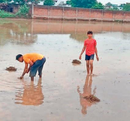 डब्लूआरडी नहरों की मरम्मत के साथ पक्की नाली बनाने की हुई मांग