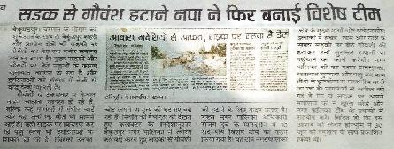 सड़कों से आवारा मवेशी नहीं हटने पर होगी कार्रवाई
