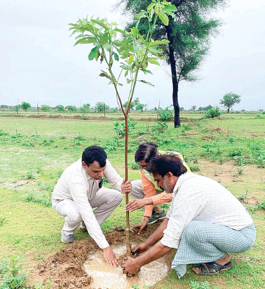 सोईकलां के बायपास किनारे पौधे लगाकर किया अभियान का शुभारंभ नेशनल हाइवे 552 के तीनों बायपास किनारे 10 हजार पौधों का रोपण करेगा एनएचएआई