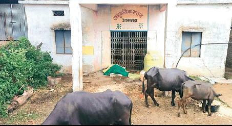 शासकीय सामुदायिक भवन में भरे लहसुन और प्याज