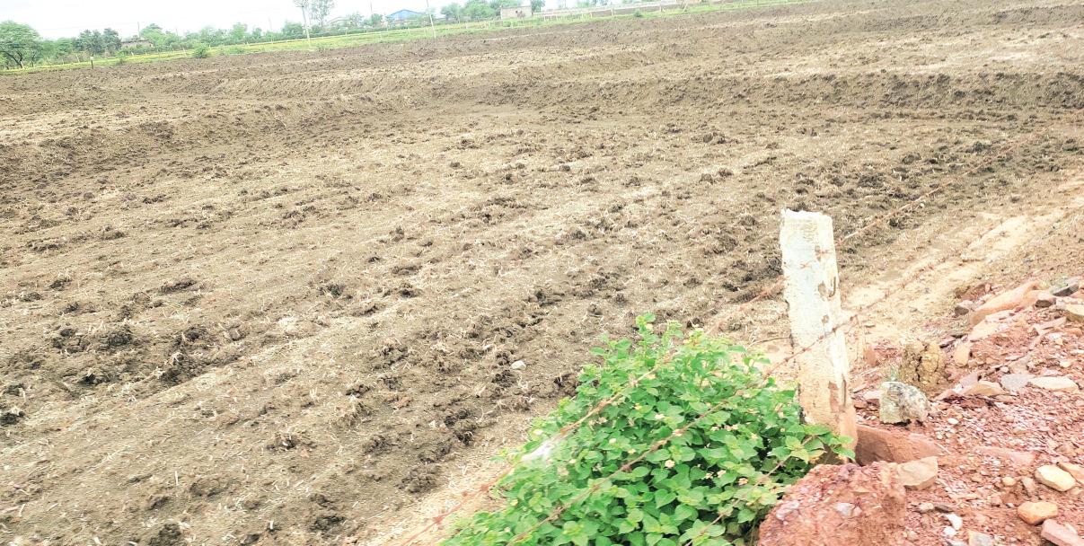 बारिश की बेरुखी से क्षेत्र के किसान चिंतित