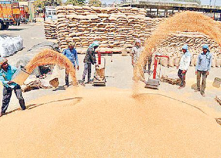 सरकार ने 4.69 लाख किसानों को 16997 करोड़ का किया भुगतान