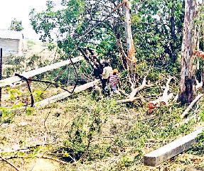प्रदेश के कई जिलों में गाड़ियां टूटी, पेड़-पोल गिरे, छप्पर उड़े, ब्लैकआउट रहा सात जिलों में आंधी, बारिश व ओलों ने भारी नुकसान पहुंचाया, दो की जान गई