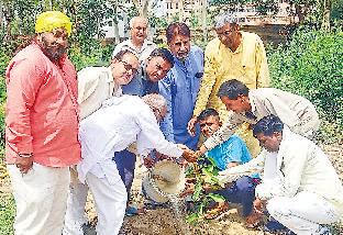 भाविप ने किया पौधरोपण
