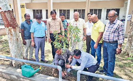 विश्व पर्यावरण दिवस पर अनेक संगठनों ने किया पौधरोपण, पर्यावरण संरक्षण का लिया संकल्प