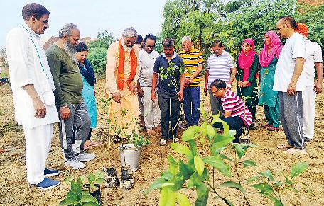 'एक पौधा मां के नाम' अभियान के तहत रोपे पौधे