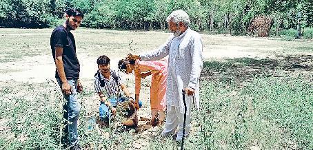 जलवायु और पर्यावरण संरक्षण में प्राकृतिक कृषि विधि का खास योगदान