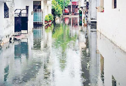 बारिश व आंधी से सड़कों पर गिरे पेड़, निचले इलाकों में भरा पानी