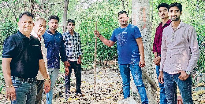 सूखे पत्तों से जैविक खाद तैयार कर रहे हैं ग्रीनमैन प्रो. दलजीत