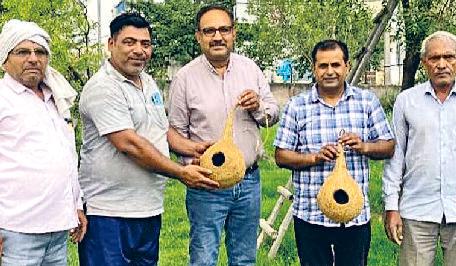 सैनी सेवा ट्रस्ट ने पक्षियों के लिए घोंसलें लगाए